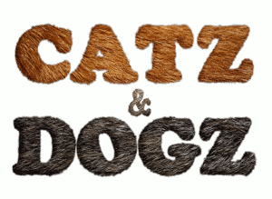 catzdogz